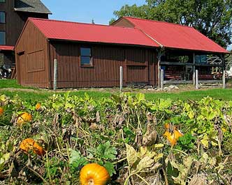 New England Barn-summer